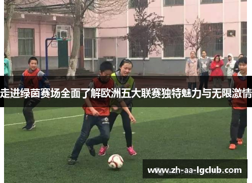走进绿茵赛场全面了解欧洲五大联赛独特魅力与无限激情 走进绿茵赛场全面了解欧洲五大联赛独特魅力与无限激情