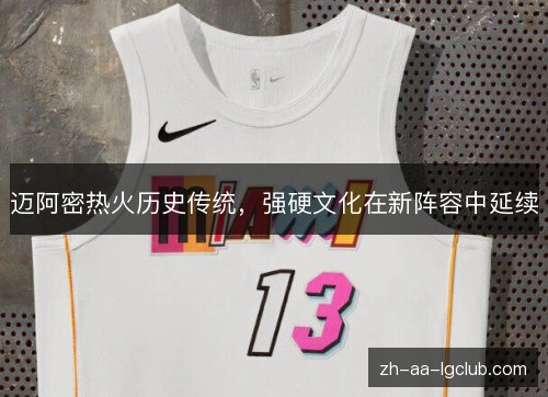 迈阿密热火历史传统,强硬文化在新阵容中延续 迈阿密热火历史传统,强硬文化在新阵容中延续